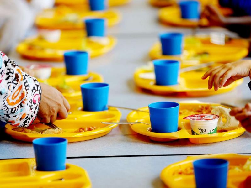 Συναγερμός λόγω μαζικής τροφικής δηλητηρίασης μαθητών από σχολικά γεύματα - Ετοιμάζουν μηνύσεις από γονείς