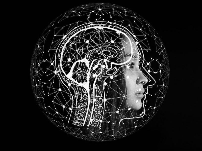 Νέα μελέτη: Ερευνητές εντόπισαν πως ο άνθρωπος έχει πυξίδα μέσα στο κεφάλι του