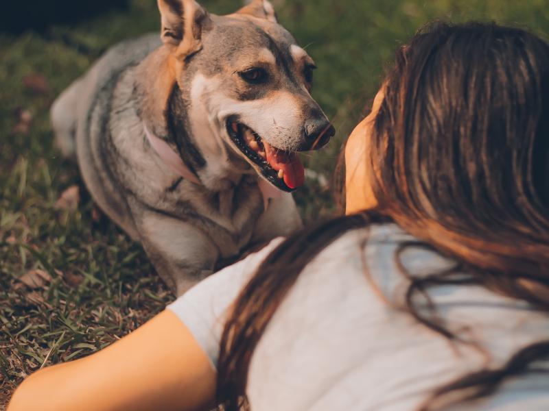 Έρευνα: Τι συμβαίνει στον σκύλο σας τη στιγμή που του λέτε «Σ’ αγαπώ»