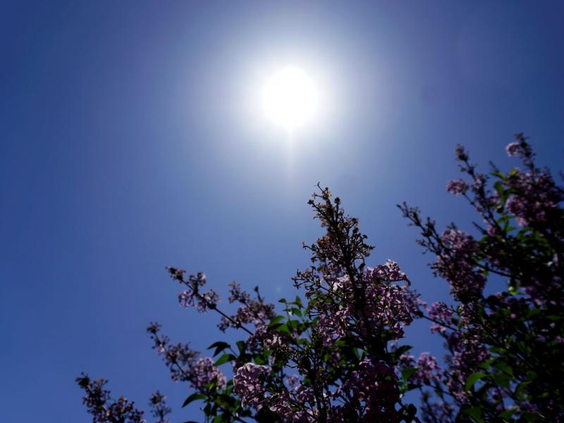 Καιρός: Νέα θερμική εισβολή με 43 βαθμούς την Πέμπτη – «Προσοχή σήμερα στην Αττική»