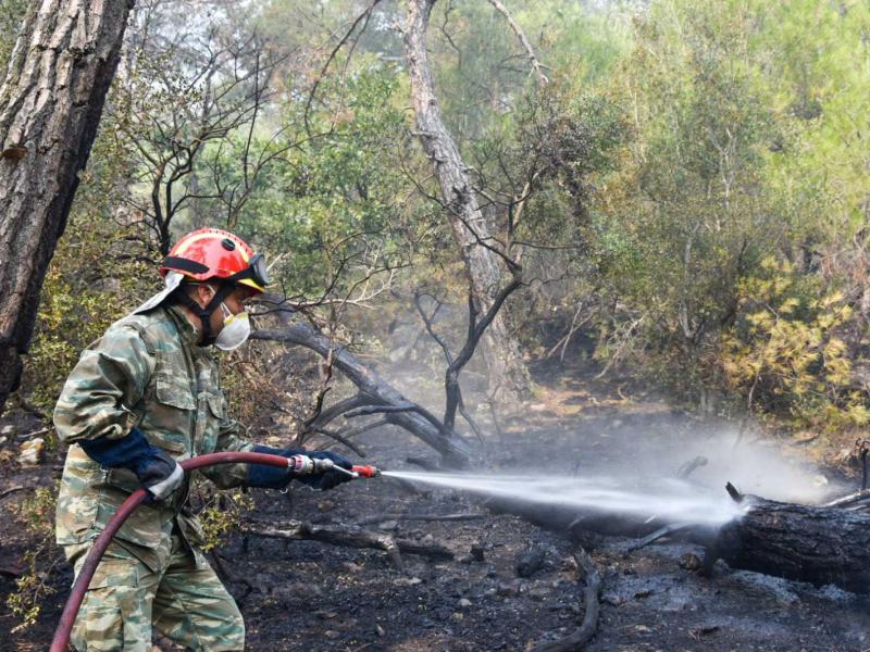 Φωτιά στον Έβρο: Απεγκλωβίστηκαν από πυροσβέστες 25 μετανάστες στο δάσος της Δαδιάς