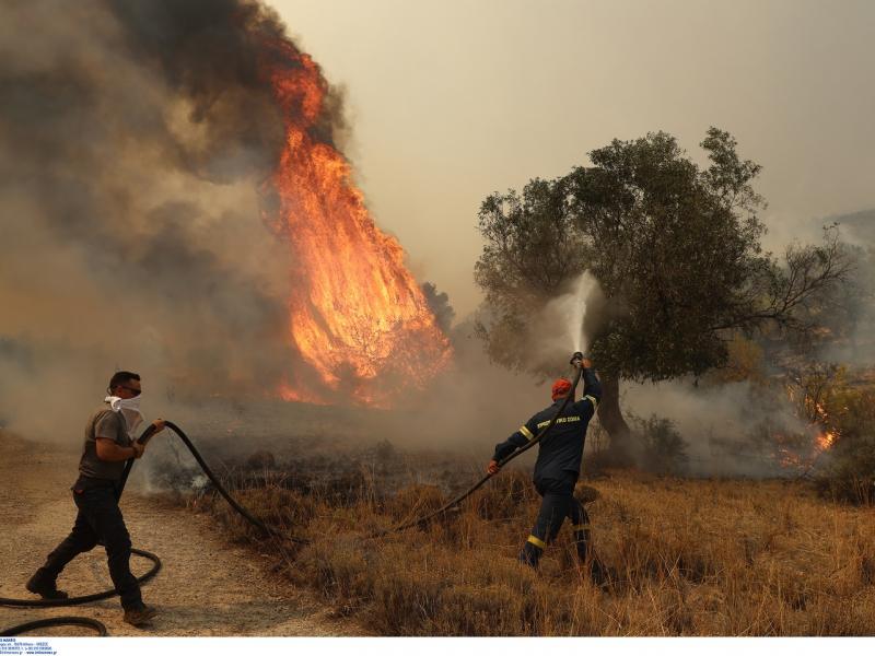 Δασικές Πυρκαγιές: Η έγκαιρη απομάκρυνση σώζει ανθρώπινες ζωές