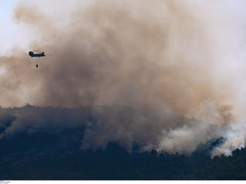 Συναγερμός στην πυροσβεστική: Φωτιά στη Λακωνία