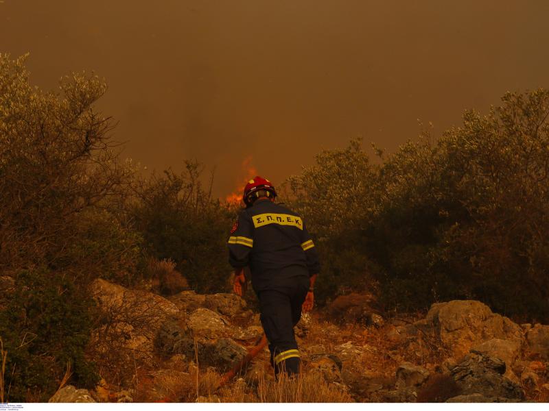 Πυρκαγιά στη Σητεία: Ισχυροί νοτιάδες στην περιοχή