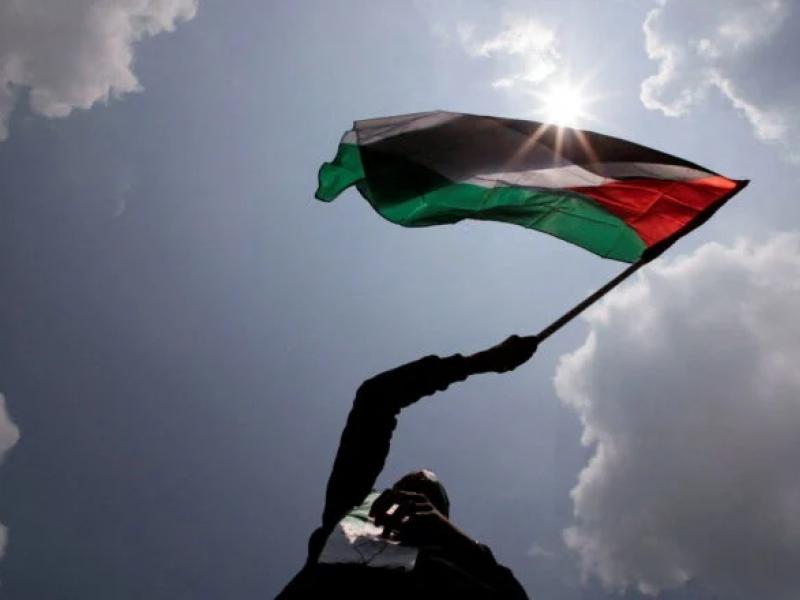Πανεπιστήμιο Γάνδης: Φοιτητές προχώρησαν σε κατάληψη του χώρου υπέρ της Παλαιστίνης 