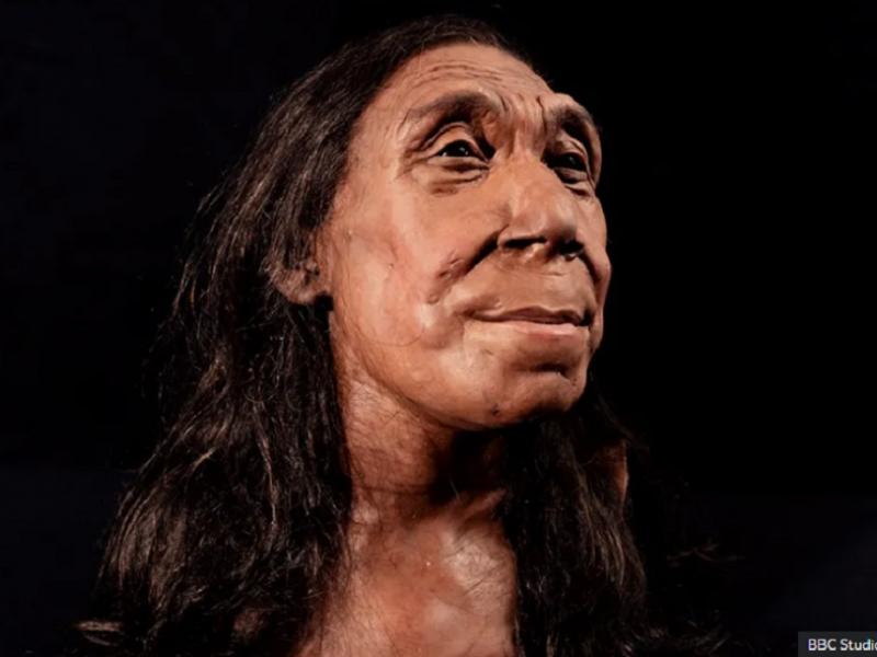 Πώς είναι το πρόσωπο μιας γυναίκας Νεάντερταλ «ηλικίας» 75.000 ετών (Video)
