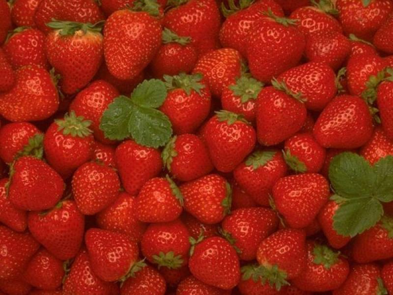 Φράουλες: Πώς να τις συντηρήσουμε σωστά στο ψυγείο και στην κατάψυξη