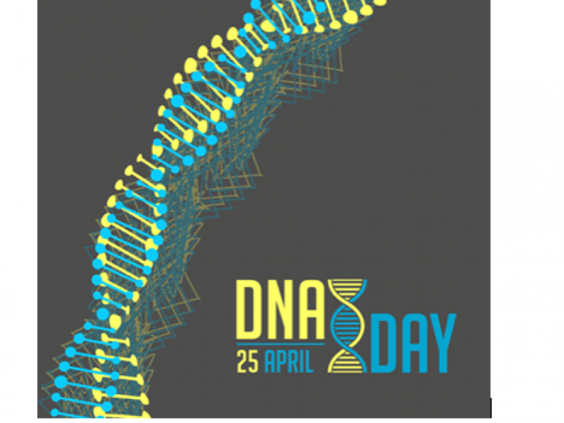 Παγκόσμια Ημέρα DNA: Εορτασμός και γνωριμία μαθητών με την επιστήμη της Βιολογίας στο ΑΠΘ
