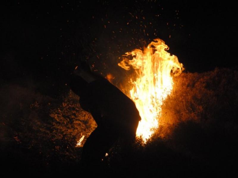 Χίος: Υπό πλήρη έλεγχο η φωτιά που έκαιγε όλη νύχτα στα Ψαρά