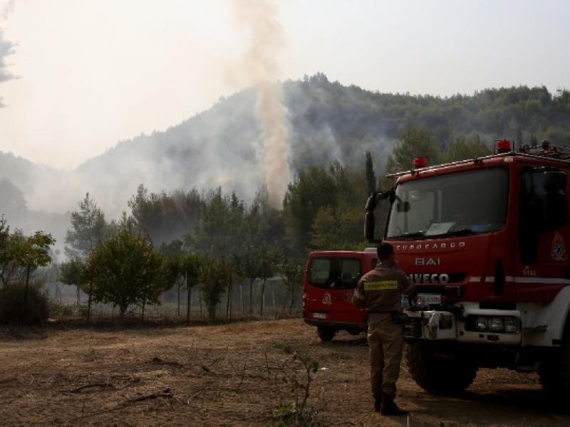 Φωτιά στη Λακωνία: Επιχειρούν επίγειες και εναέριες δυνάμεις 