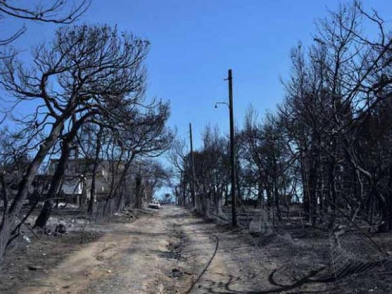 Αποτελέσματα εισαγωγής στα ΑΕΙ - ΤΕΙ των περιοχών της Δυτ. Αττικής και της Κω που επλήγησαν από φυσικές καταστροφές