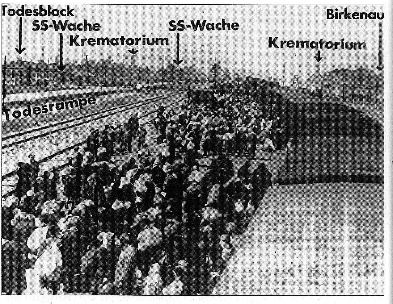 Auschwitz, alfavita.gr