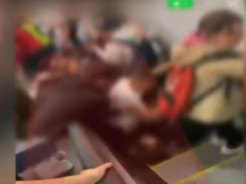 Σοκαριστικό βίντεο από το ατύχημα σε σχολική εκδρομή – «Ακούγονταν ουρλιαχτά»