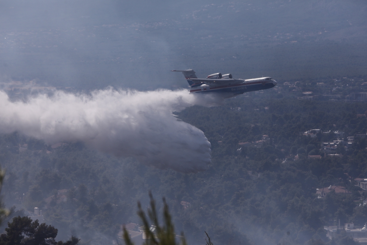 beriev fotia