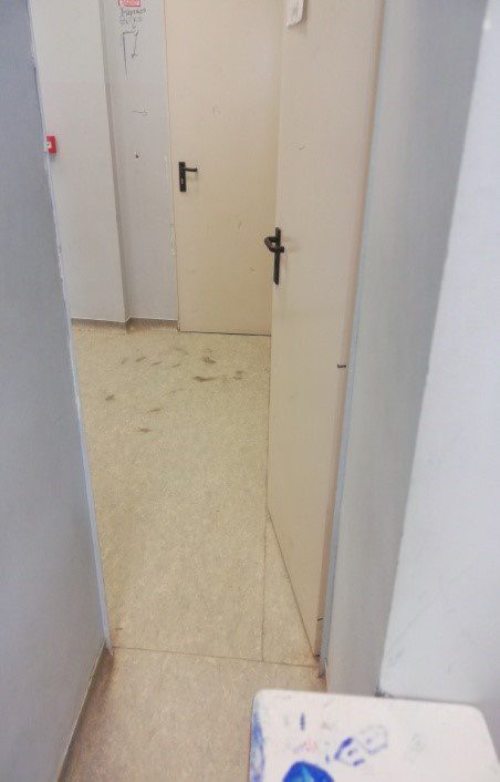 19gymnasio07.jpg 19gymnasio07.jpg