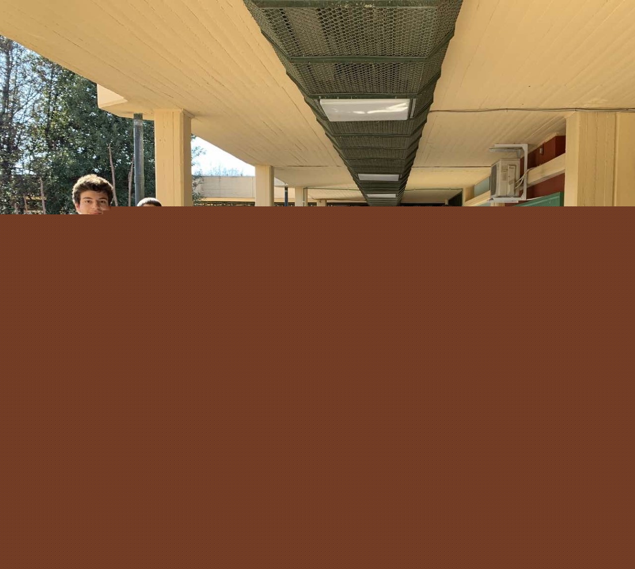 my_pine1.jpg my_pine1.jpg