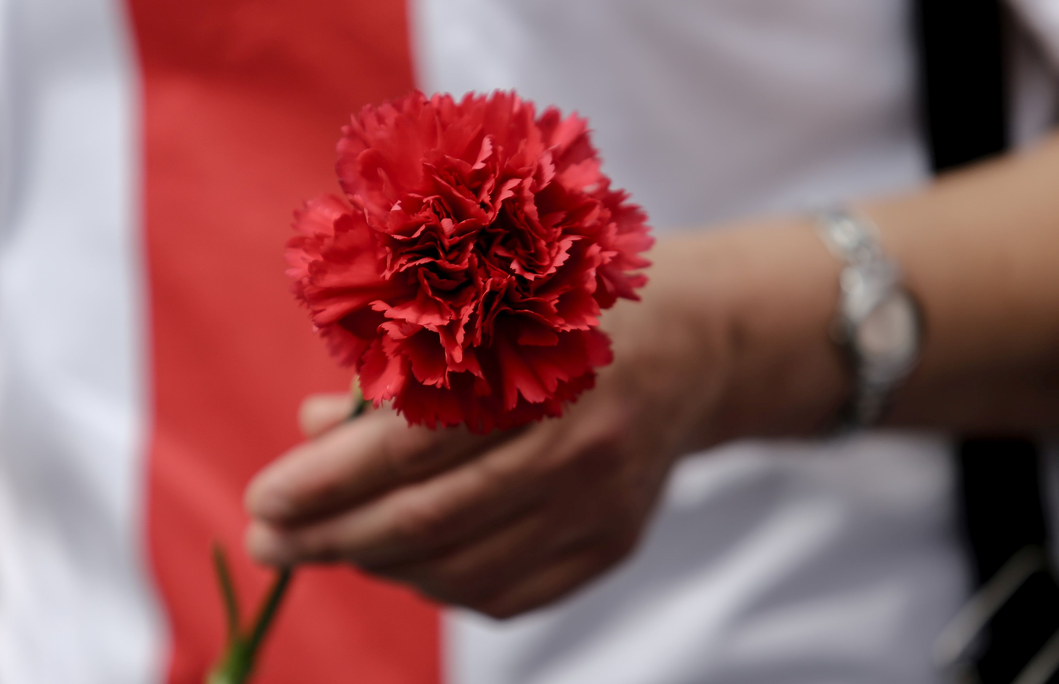 prwtomagia garifallo