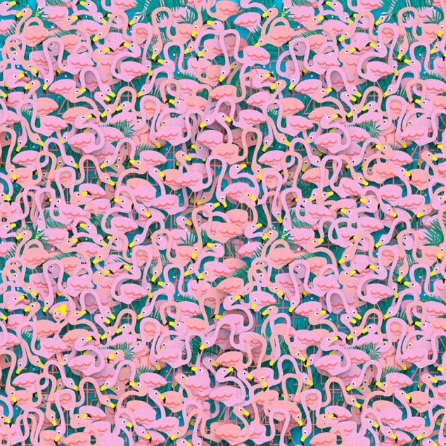 flamingo.jpg flamingo.jpg