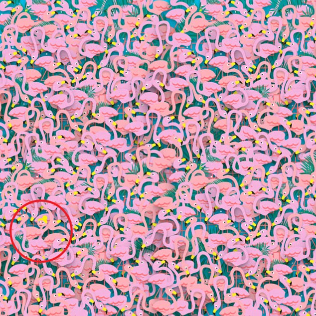 flamingo2.jpg flamingo2.jpg