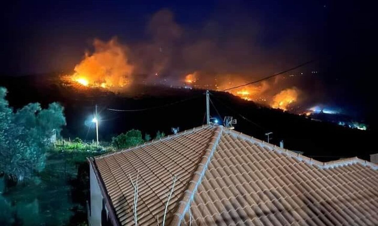 pirkagia-evia-tweet.jpg pirkagia-evia-tweet.jpg