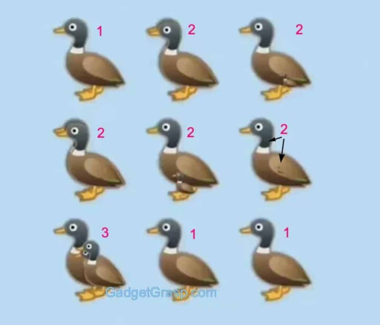 papies_grifos.jpg