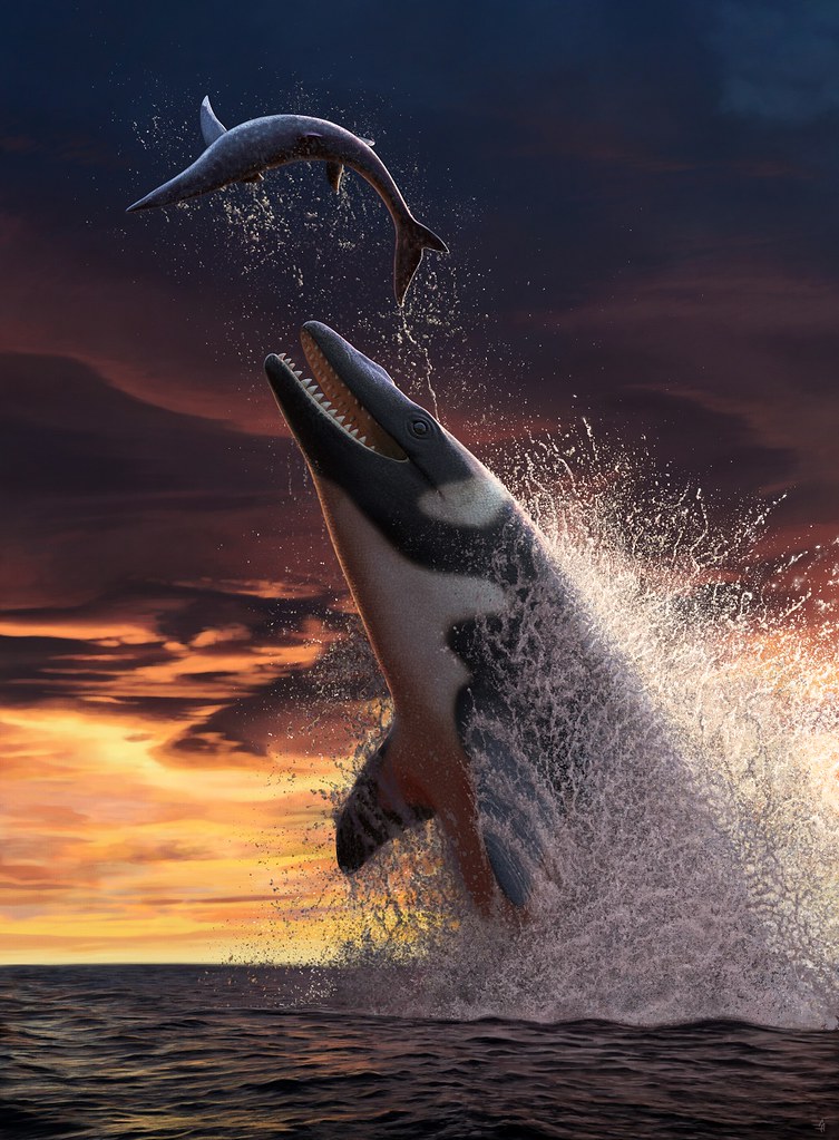 Thalassotitan.jpg Thalassotitan
