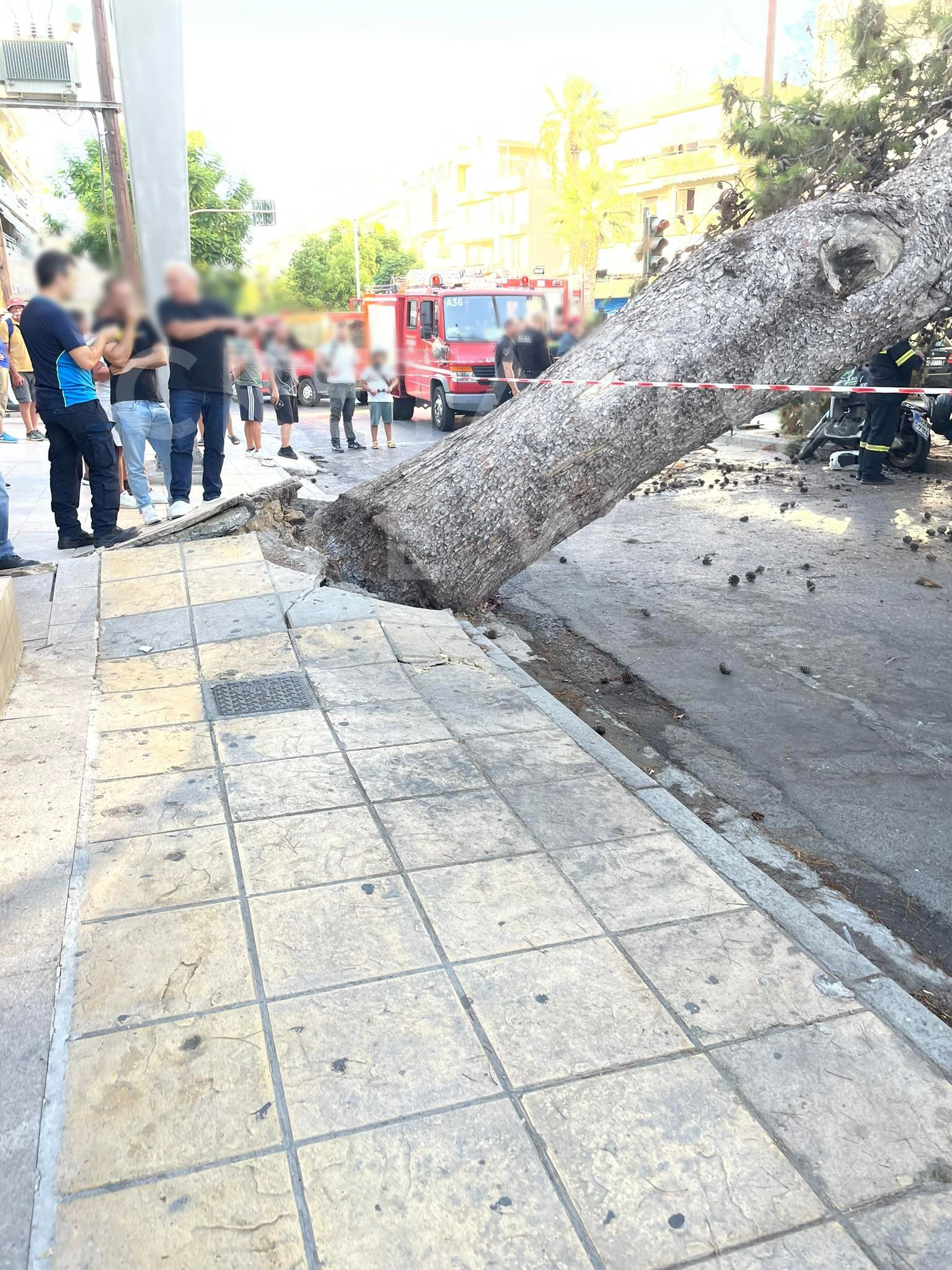dentro-tragodia_0.jpg dentro-tragodia_0.jpg