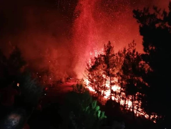 fwtia-thasos-topiko.jpg fwtia-thasos-topiko.jpg