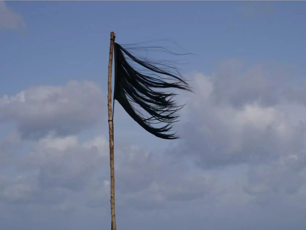 Σημαία από κομμένα μαλλιά