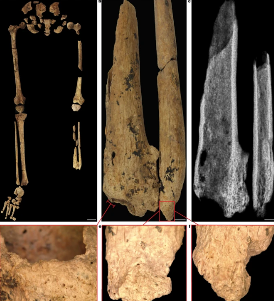 indonisia_akrotiriasmos_arxaiologia.png indonisia_akrotiriasmos_arxaiologia