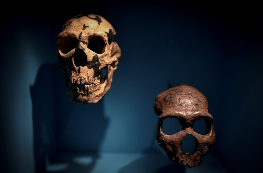 neantertal.jpg neantertal-anthropos