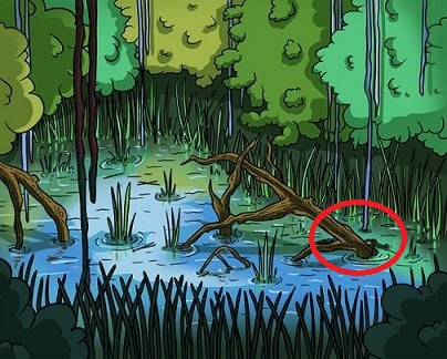 spotcrococodilehiddeninlakeopticalillusioniqtest-1.jpg Οφθαλμαπάτη με κροκόδειλο