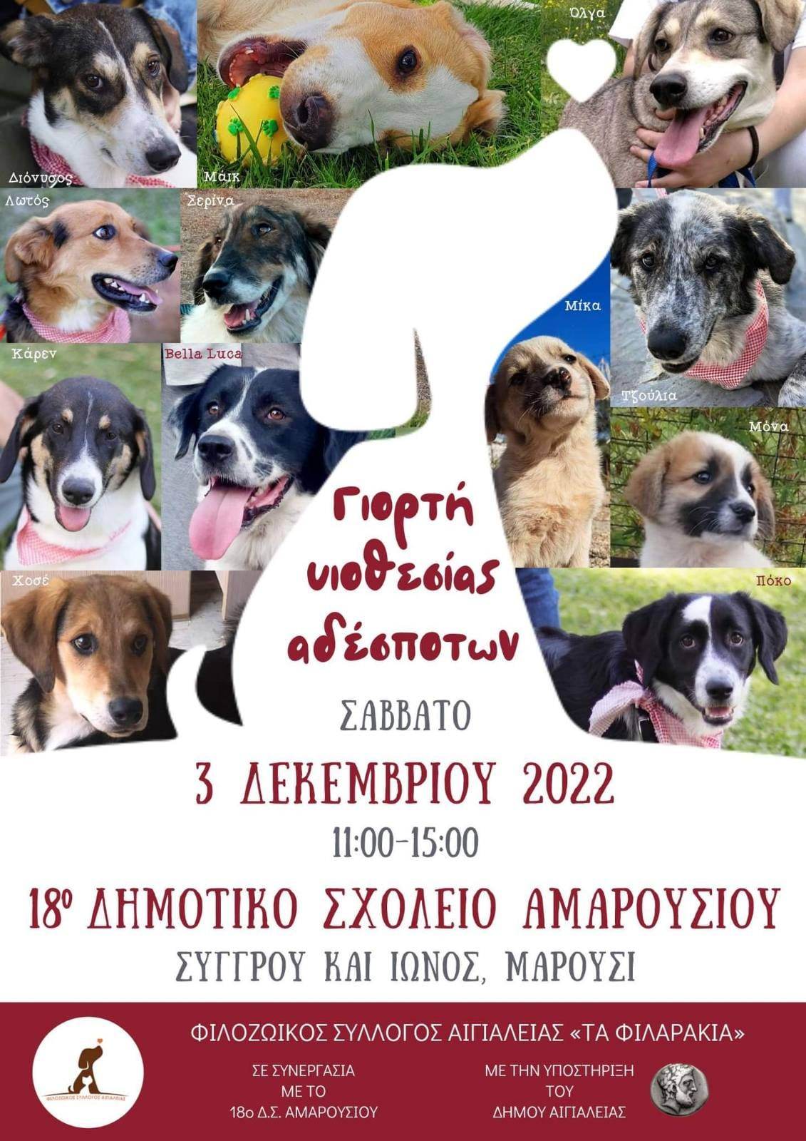 υιοθεσια-ζωων υιοθεσια-ζωων