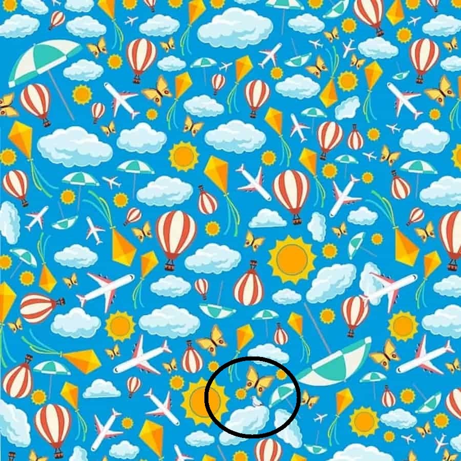 optical-illusion-pouli3.jpg Οφθαλμαπάτη με πτηνό - Λύση