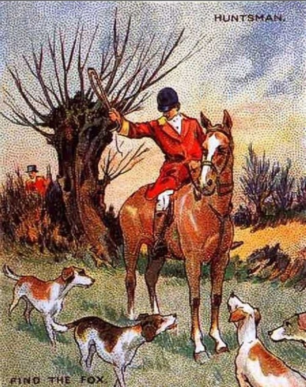 alepou-kunigos.jpg Οφθαλμαπάτη με αλεπού
