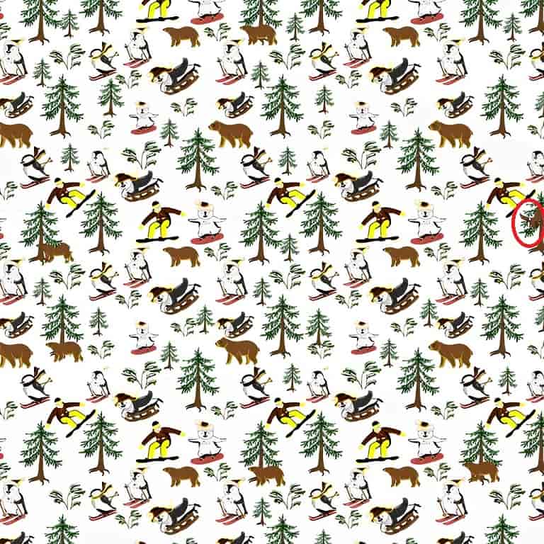 eagle-in-forest-solved-min.jpg Λύση στην οφθαλμαπάτη