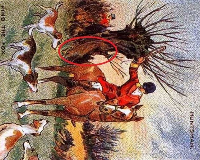 lysi-grifos-alepou.jpg Λύση στην οφθαλμαπάτη με την αλεπού