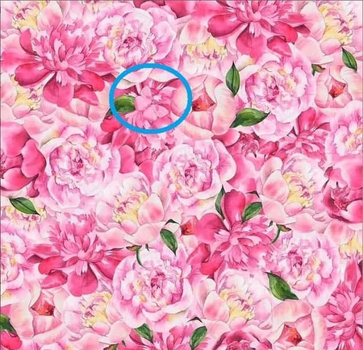 petalouda-psevdaisthisi.jpg Λύση στην οφθαλμαπάτη