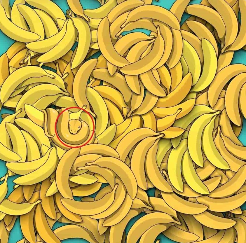 Λύση στην οφθαλμαπάτη με μπανάνες