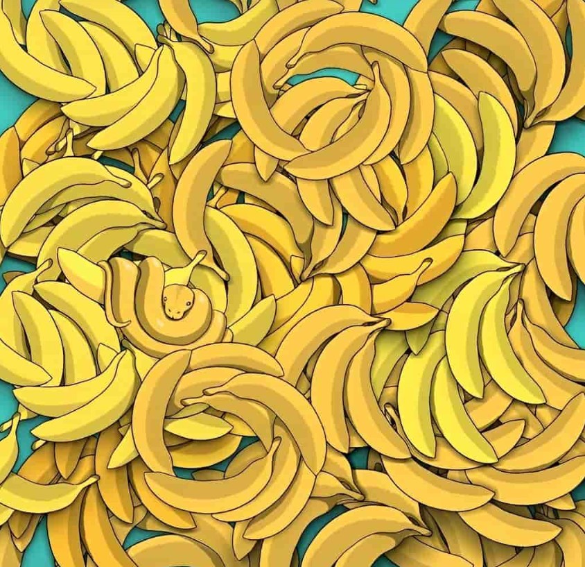 Οφθαλμαπάτη με μπανάνες