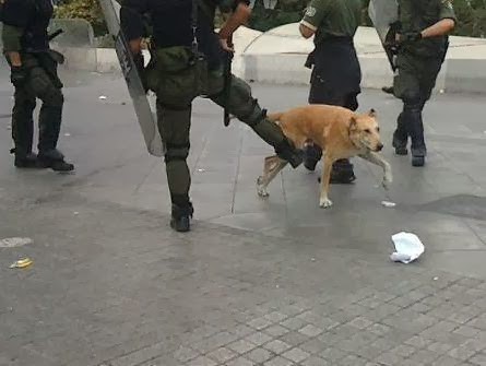 elas.jpg ελασ