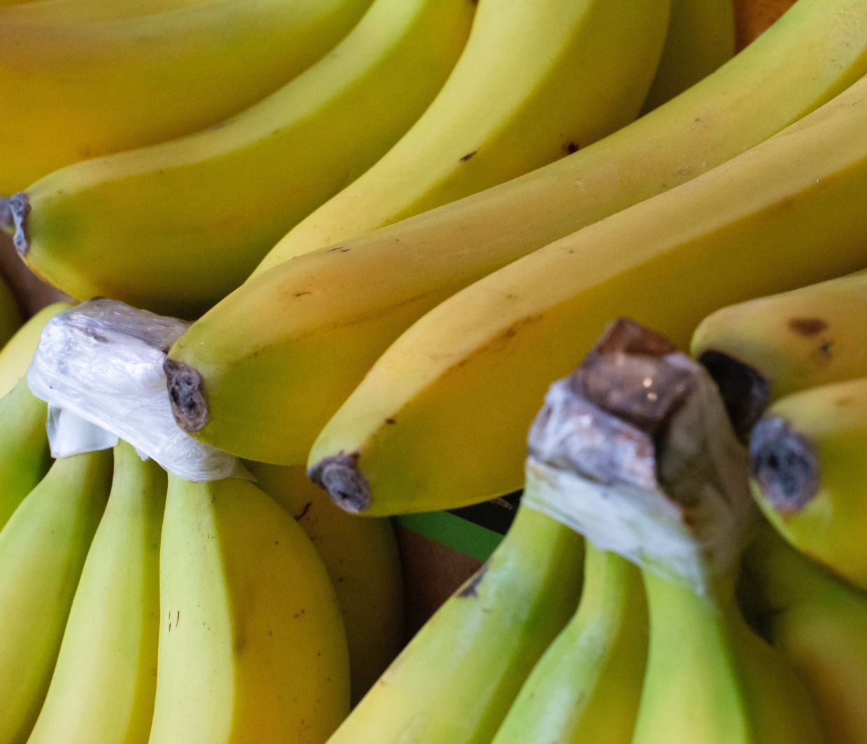 bananes.jpg μπανανες