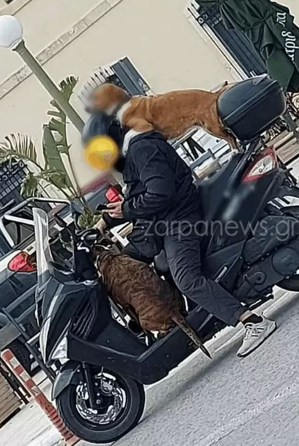 kriti.jpg Κρήτη