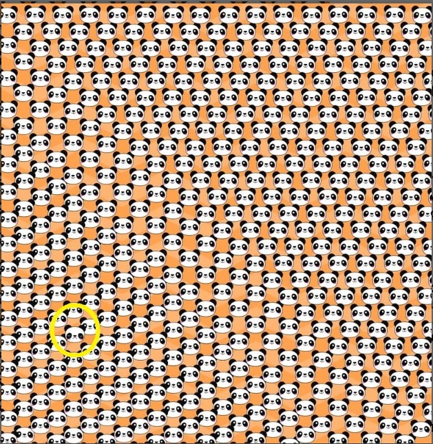 lysi-ofth-panda.jpg Λύση στην οφθαλμαπάτη με τα πάντα