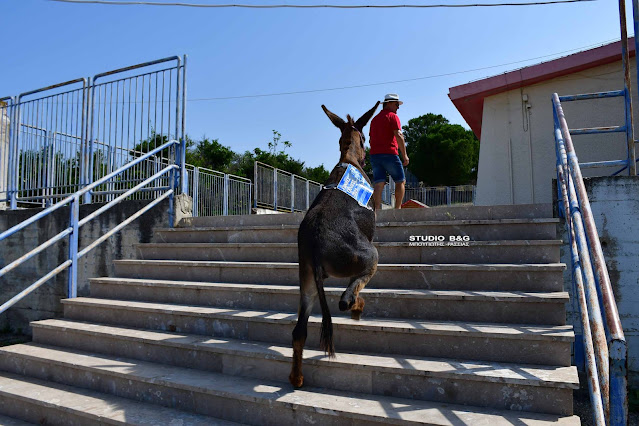 Πήγε να ψηφίσει μαζί με το γαϊδουράκι του