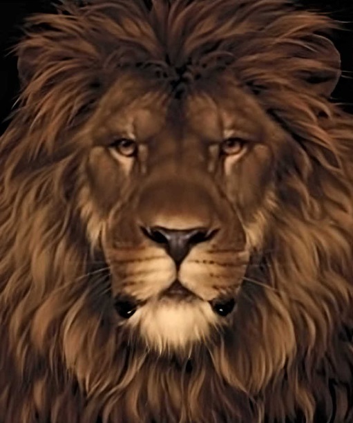 Οφθαλμαπάτη με λιοντάρι