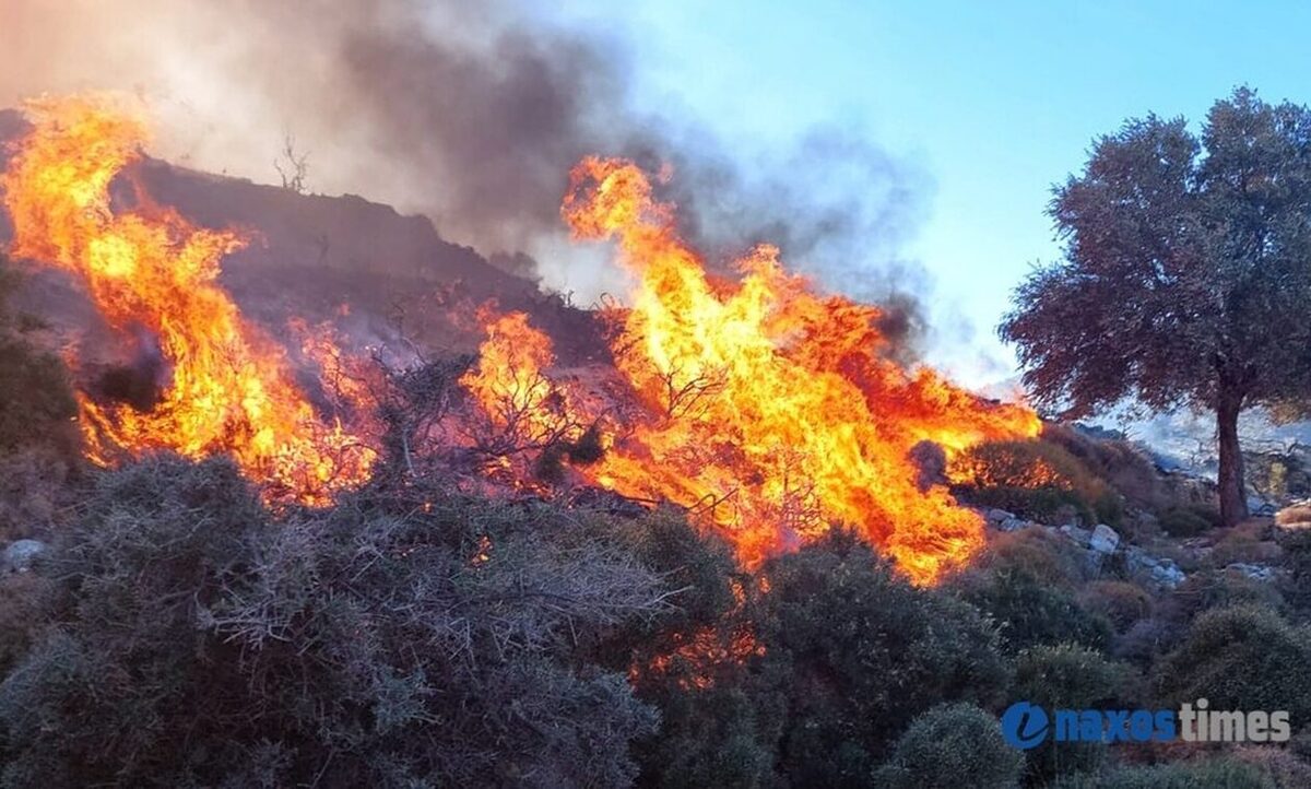 naxos fotια.jpg ναξος φωτια