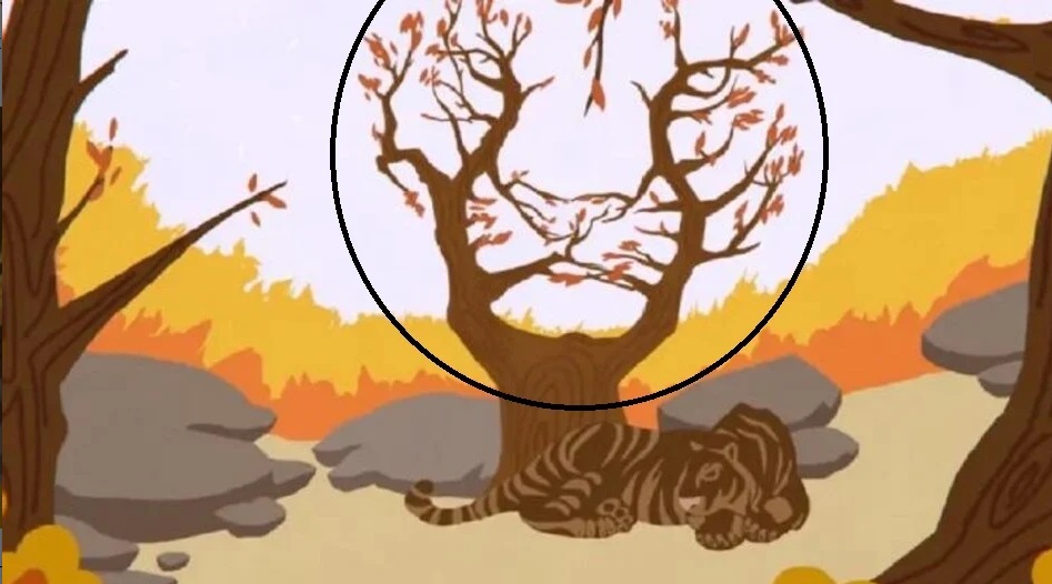 ofth-tigris.jpg Λύση στην οφθαλμαπάτη με τίγρη