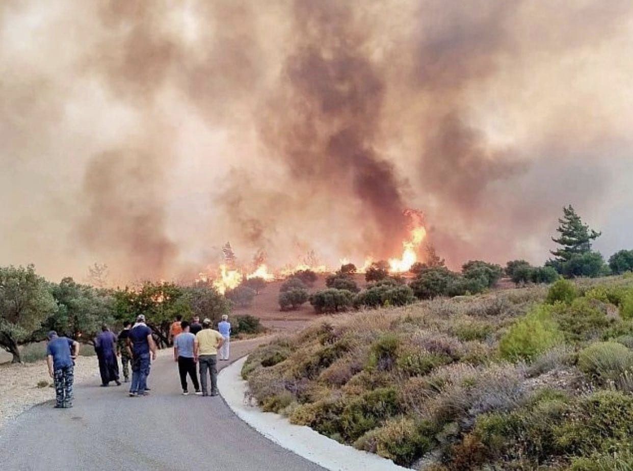 pyrkagia_rodos