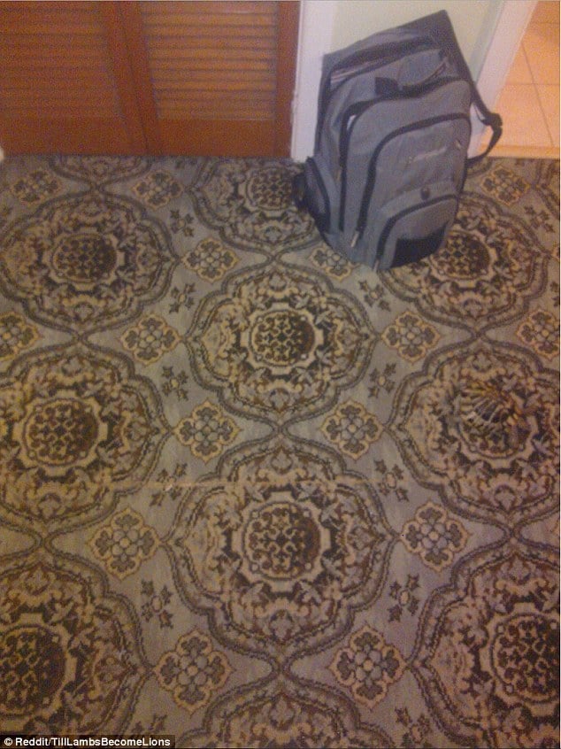 optical-illusion-xelona.jpg Οφθαλμαπάτη με χελώνα